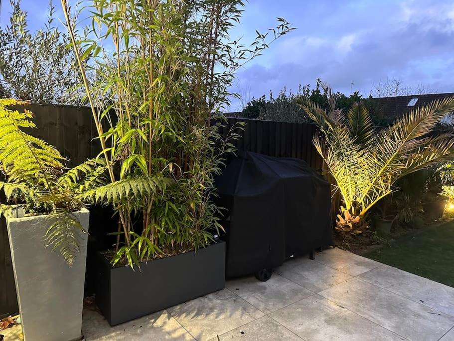 芬当Northbourne House别墅 外观 照片